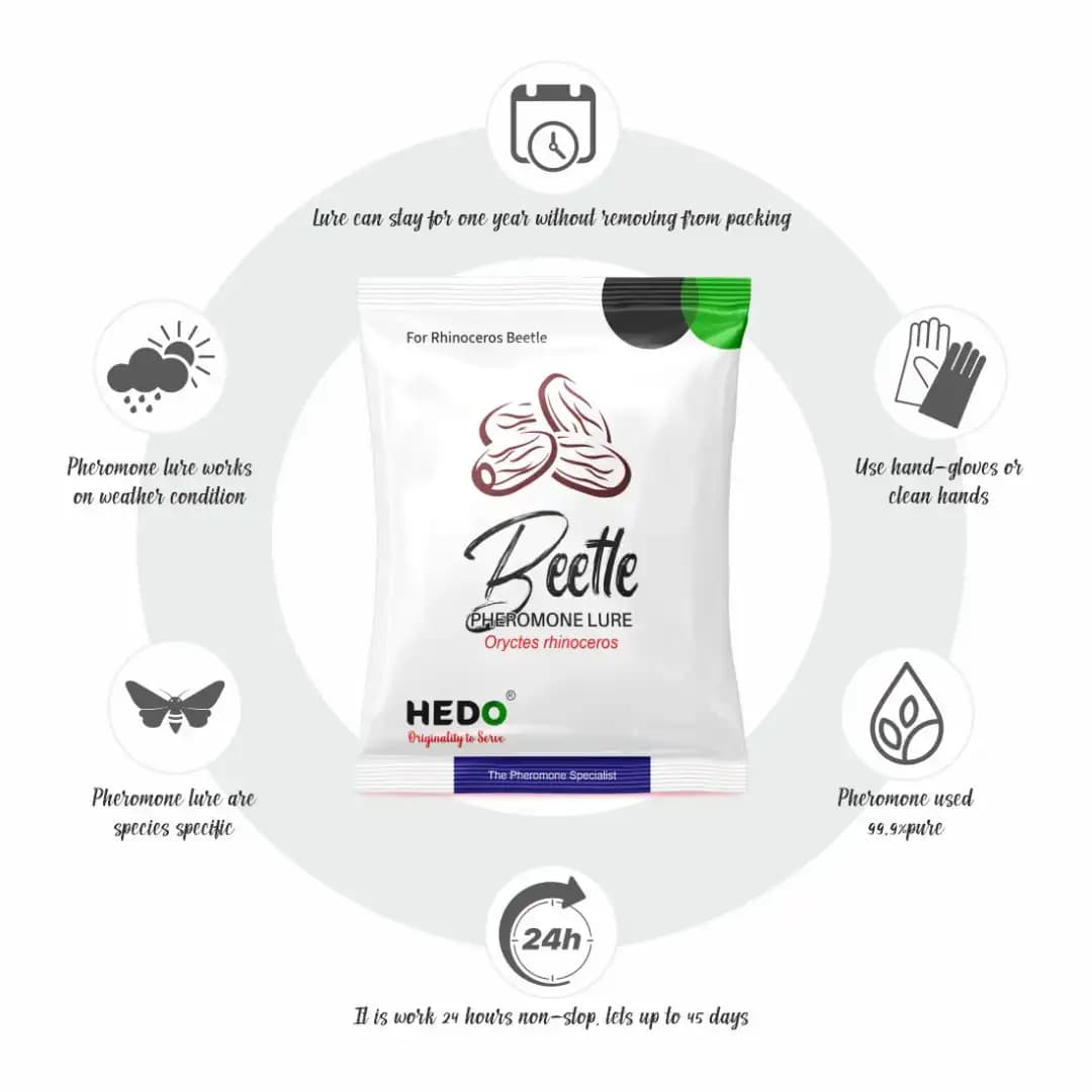 HEDO Rhinoceros Beetle Bucket Trap With Pheromone Lure, Effective Control Rhinoceros Beetle For Coconut, Date Palm, Oil Palm, Arecanut Palm - Image 5