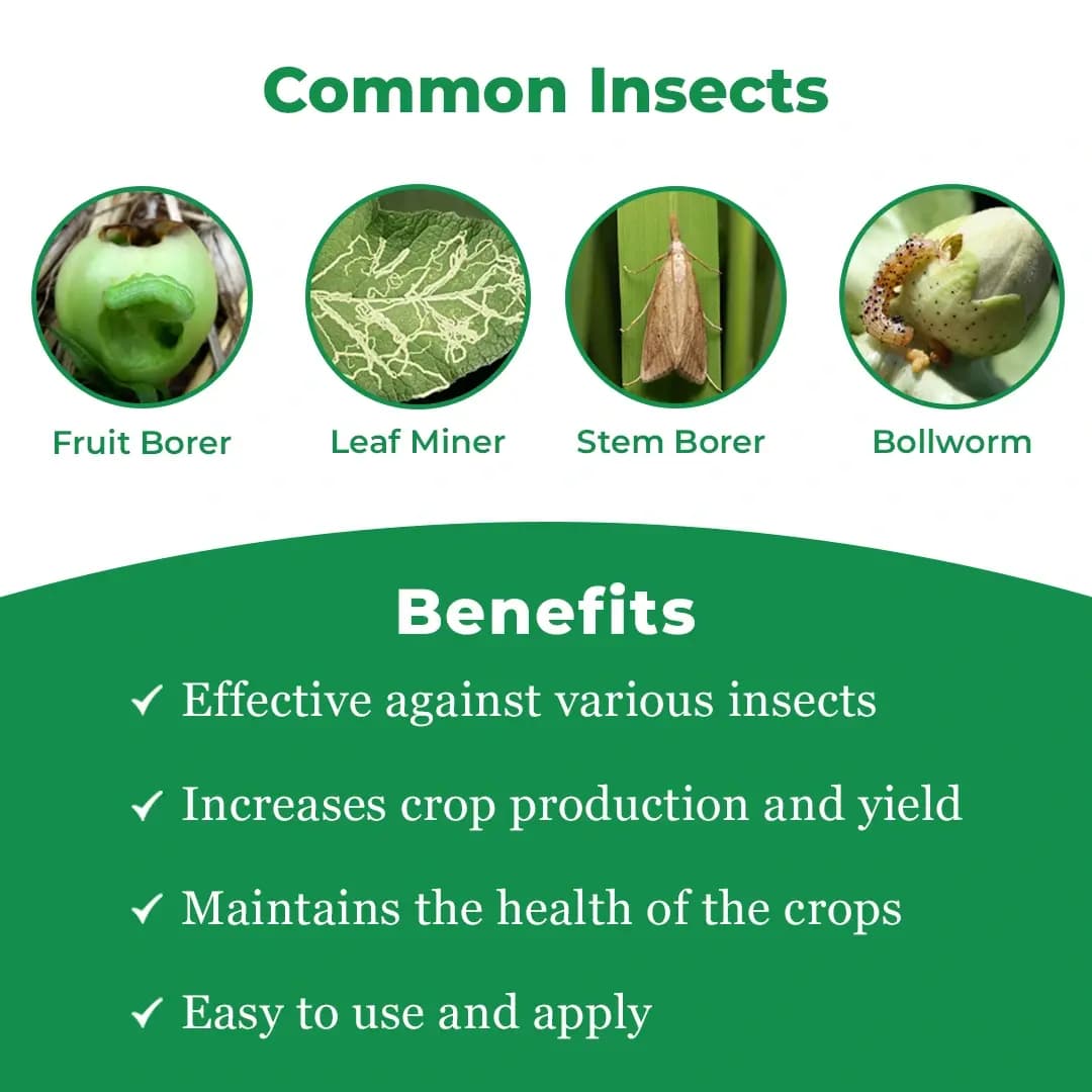 स्टार वन - बॉलवर्म, फल और शूट छेदक, लीफ माइनर के लिए लार्विसाइड, गैर विषैले, उन्नत जैव प्रौद्योगिकी पर आधारित, हर लार्वा के लिए सबसे अच्छा उपाय - Image 4