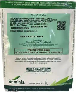 Seminis Hybrid Agastya Tomato Seeds (3500 Seeds) Recommended for Rainy Season Planting, and Early Harvest 1