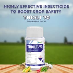 Thiolt 70 - Thiamethoxam 70% WS Powder Insecticide, Systemic Insecticide with Broad-Spectrum Protection 2