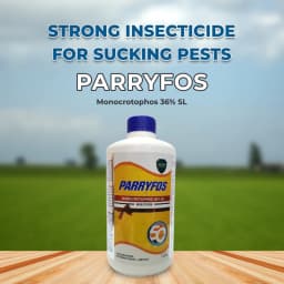 Coromandel Parryfos Monocrotophos 36% SL Insecticides, Controls Sucking, Bollworms, Leaf Eating Beetles, Mealy Bugs & Mites. 2