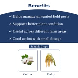 EBS Bifent 10 EC Bifenthrin 10% EC Insecticide, Control On Various Sucking and Chewing Pests 4