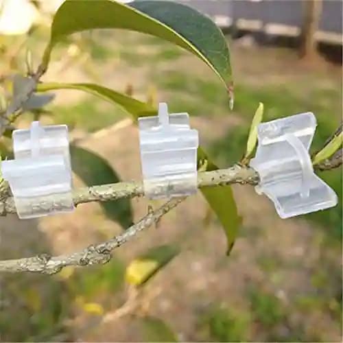 Siddhi Garden Plant Grafting Clip 4 to 6 mm Grafting Clip White,Plant Straightener Clip - Image 8