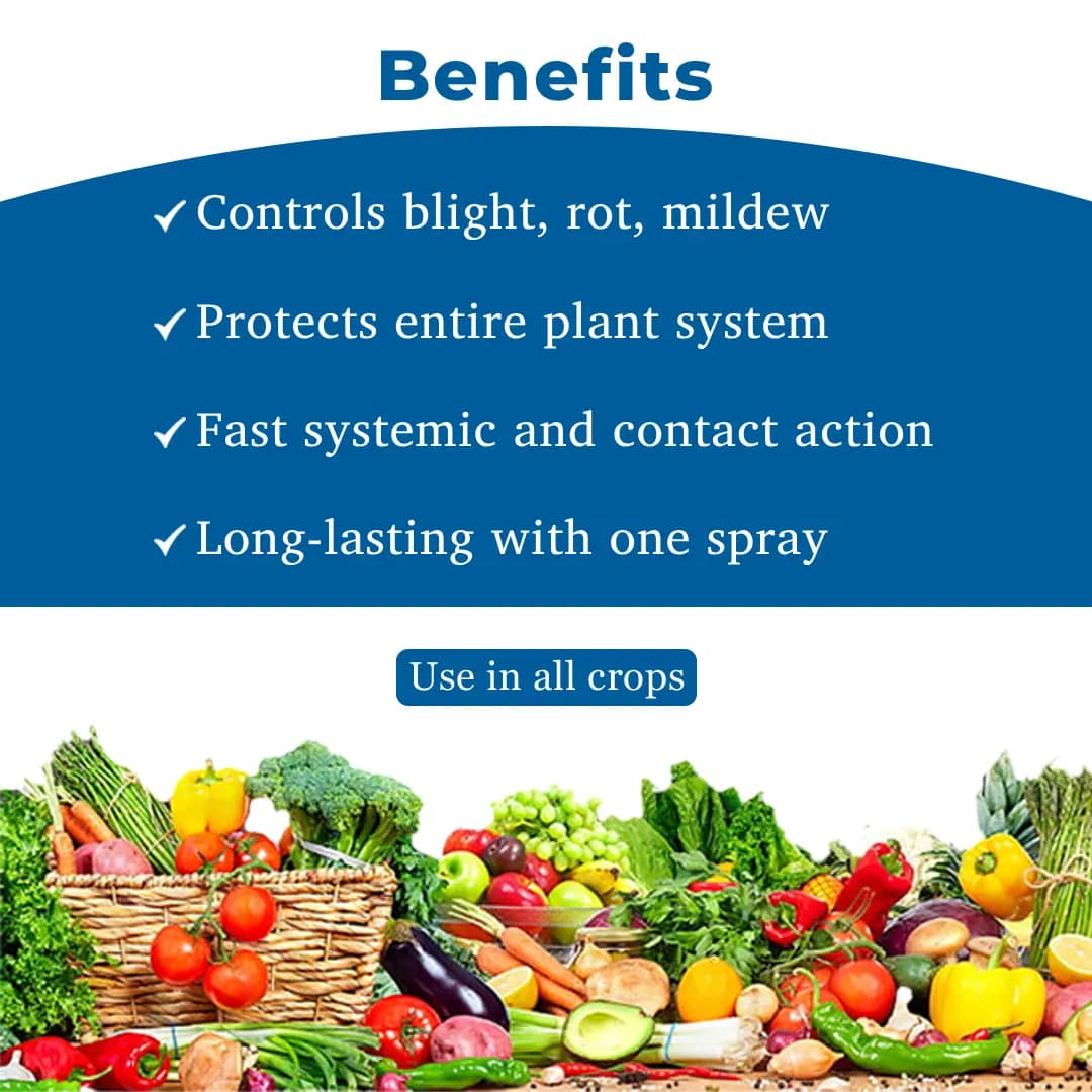 UPL TRIDIUM Azoxystrobin 4.7% + Mancozeb 59.7% + Tebuconazole 5.6% WG Gives Excellent Control of all Major Fungi Classes - Image 4