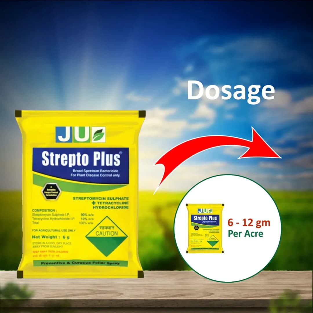 JU Strepto Plus Broad Spectrum bactericide for Plant Disease Control - Image 8