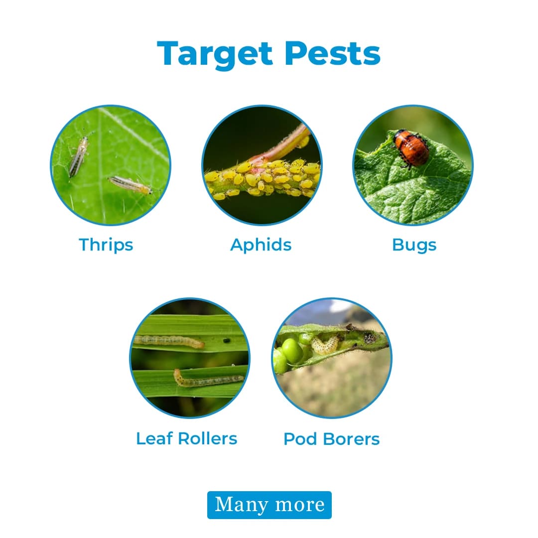 EBS Proper 404 Insecticide - Image 3