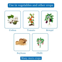 UPL Shenzi Chlorantraniliprole 18.5% Broad Spectrum Insecticide, Mode of Action in Crops like., Sugarcane, Rice, Soybean, Pulses, and Vegetables. 4
