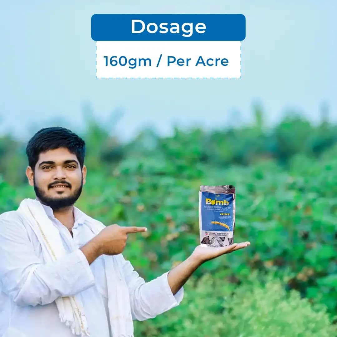 Thakar Bomb Clodinafop Propargyl 15% WP Herbicide, Excellent Action On Phalaris Minor, Can Be Used With Safener, Effective On Weeds, Easy To Use - Image 5