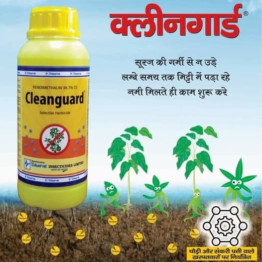 Bharat Certis Cleanguard Pendimethalin 38.7% CS Herbicide, Pre-Emergence, Effective Control Of Annual Grasses And Broadleaf Weeds In Multiple Crops - Image 2