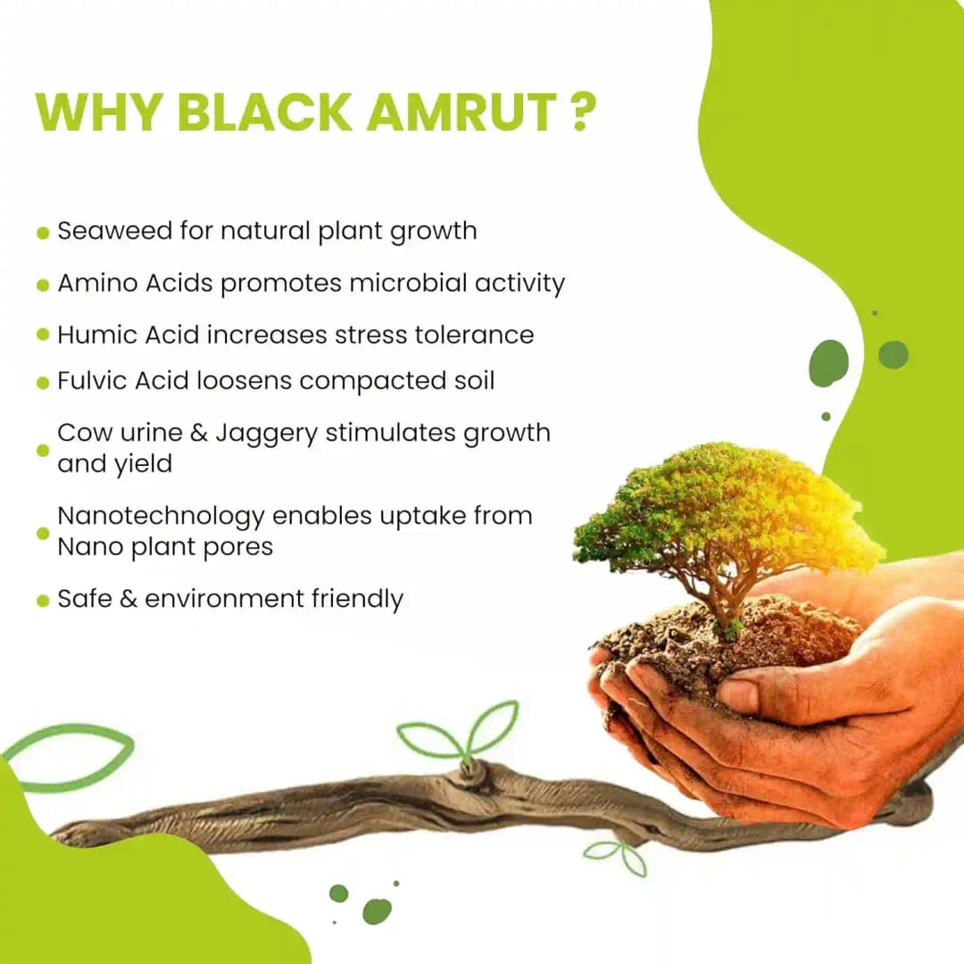 BLACK AMRUT Plant Growth Promoter, Improves The Production Of Crops, Inhibits Growth And Promotes Dormancy - Image 3