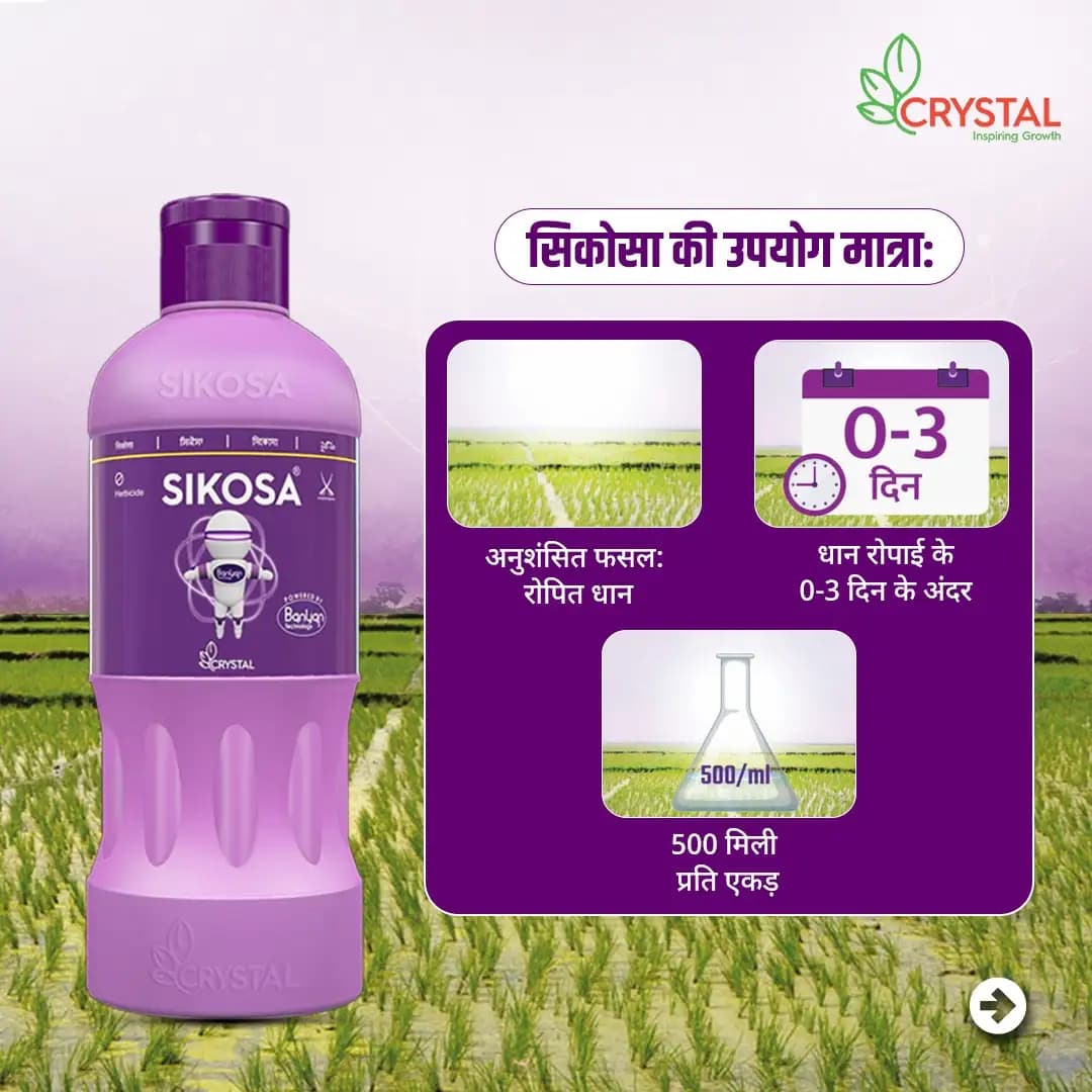 Crystal Sikosa Bensulfuron Methyl 4.8% + Pretilachlor 48% OD Herbicide, Use For Paddy - Image 8