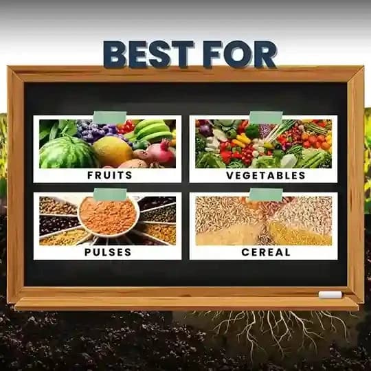 Katyayani Bhumiraja Mycorrhiza Bio Fertilizer, Advanced Mycorrhizal Fungi For Enhanced Soil Health and Plant Growth - Image 4