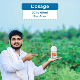 Katyayani Fluben Flubendiamide 39.35% SC Insecticide, Target a Range of Lepidopteran Pests 5