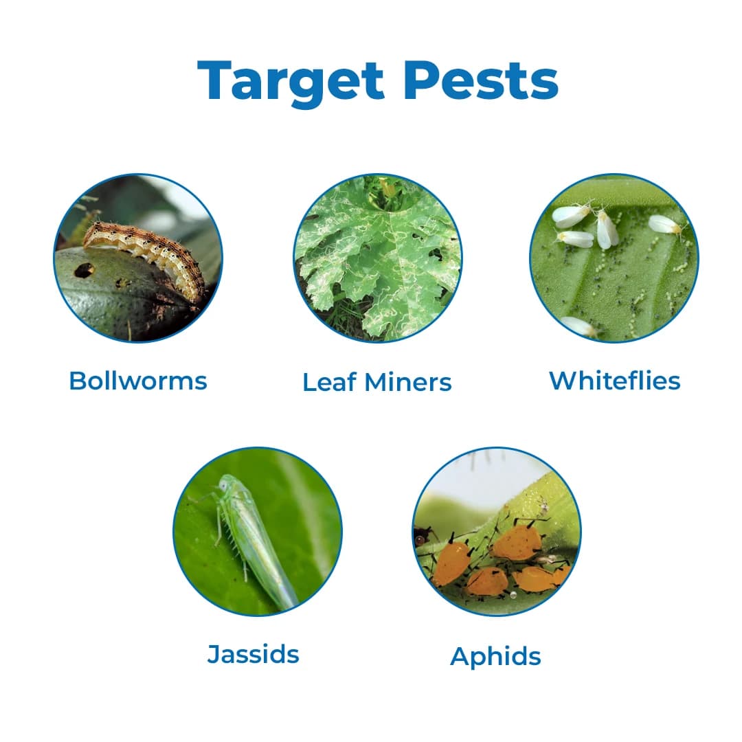 Exylon Elance Gold Emamectin Benzoate 1.5% + Fipronil 3.5% SC Insecticide, Broad-Spectrum, Effective Pest Control In Multiple Crops - Image 3