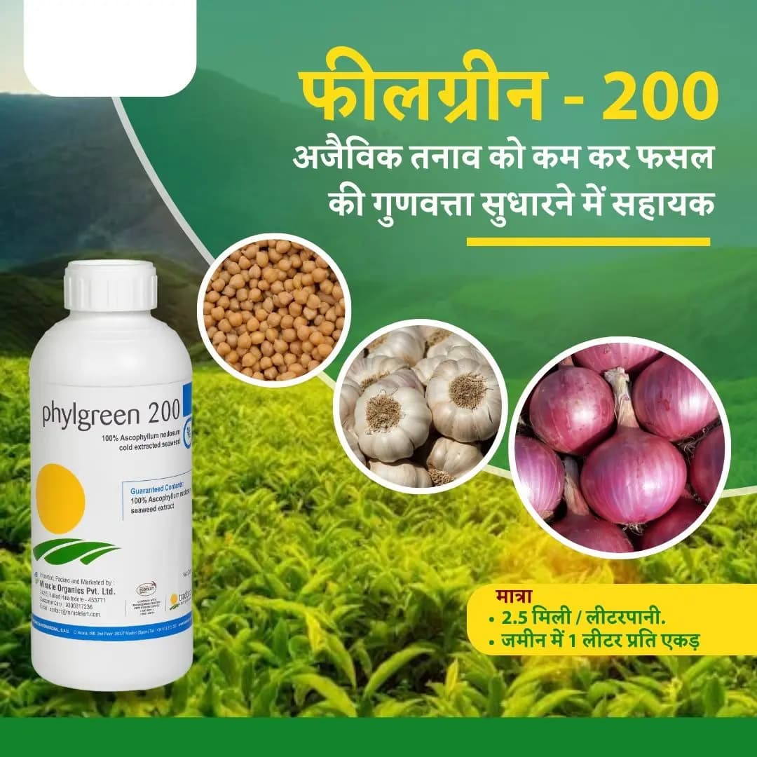 ट्रेडकॉर्प फाइलग्रीन 200 एस्कोफिलम नोडोसम समुद्री शैवाल अर्क, जैव-संवर्धक, पौध वृद्धि और उत्पादन बढ़ाने वाला - Image 2