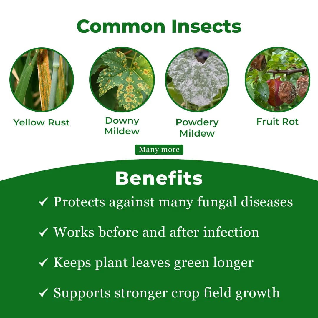 Katyayani Dr. Zole Fungicide - Image 5