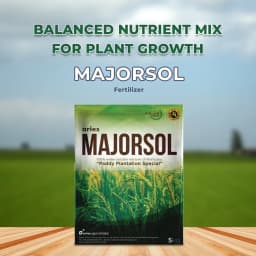 Aries Agro Majorsol Fertilizer (Paddy Plantation Special ), Fully Water Soluble Mixtures Of Fertilizers. 2