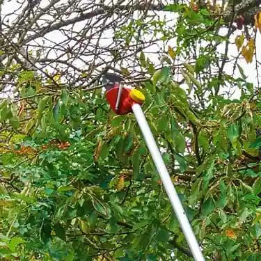 Wolf Garten Power Dual Cut Tree Lopper (PDC RR 200), 32 mm Cutting Diameter, High-Speed Cutting - Image 3