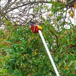 Wolf Garten Power Dual Cut Tree Lopper (PDC RR 200), 32 mm Cutting Diameter, High-Speed Cutting 3