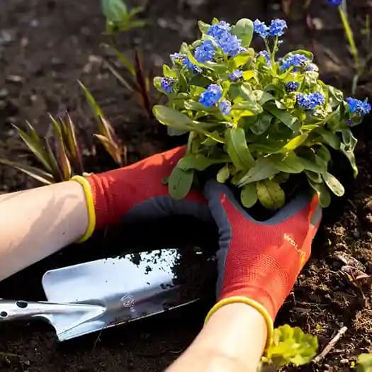 Wolf Garten Bed Gloves (GH-Bo 7), Garden Gloves Use For Gardening, Farming And Agriculture - Image 6