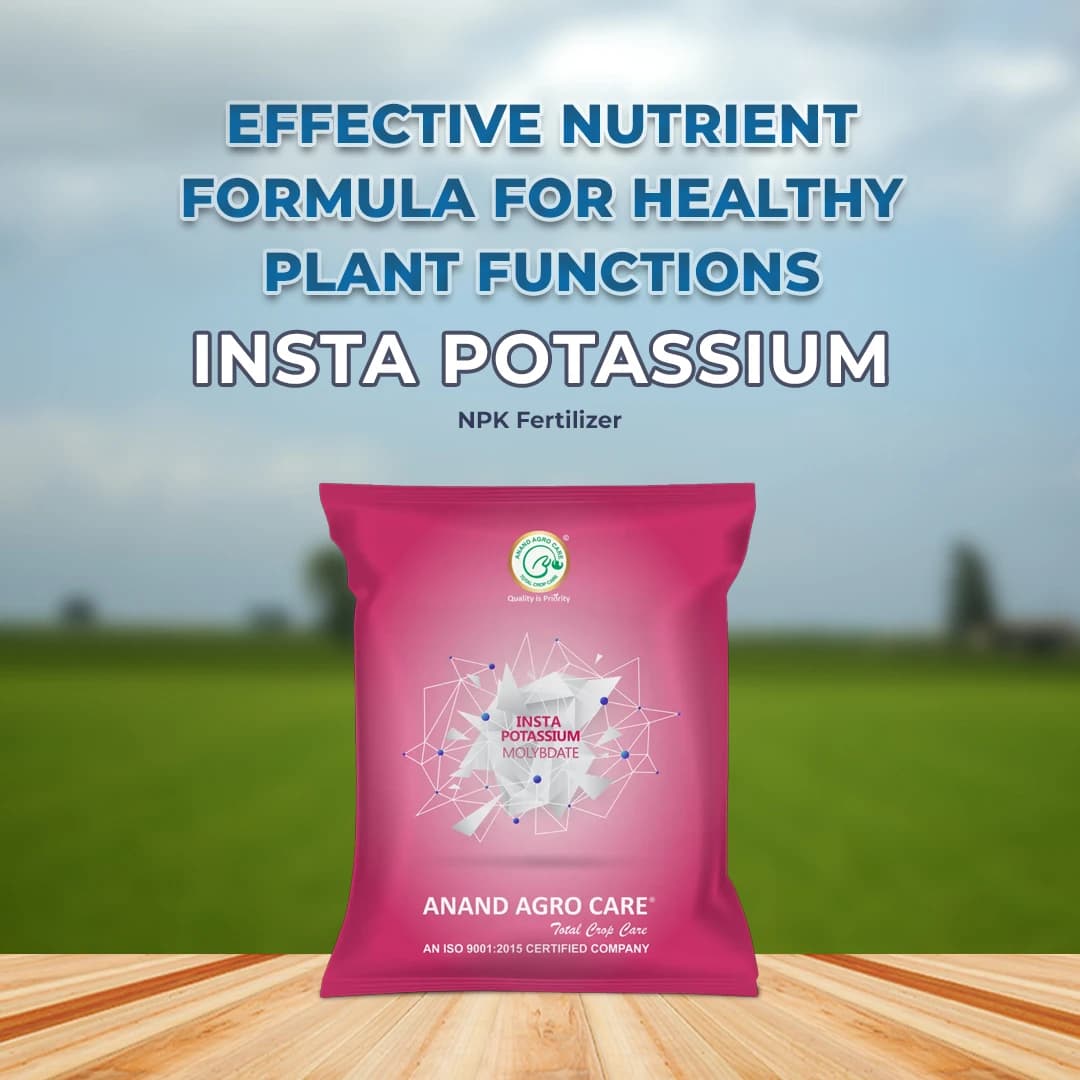 Insta Potassium Molybdate Fertilizer - Image 2