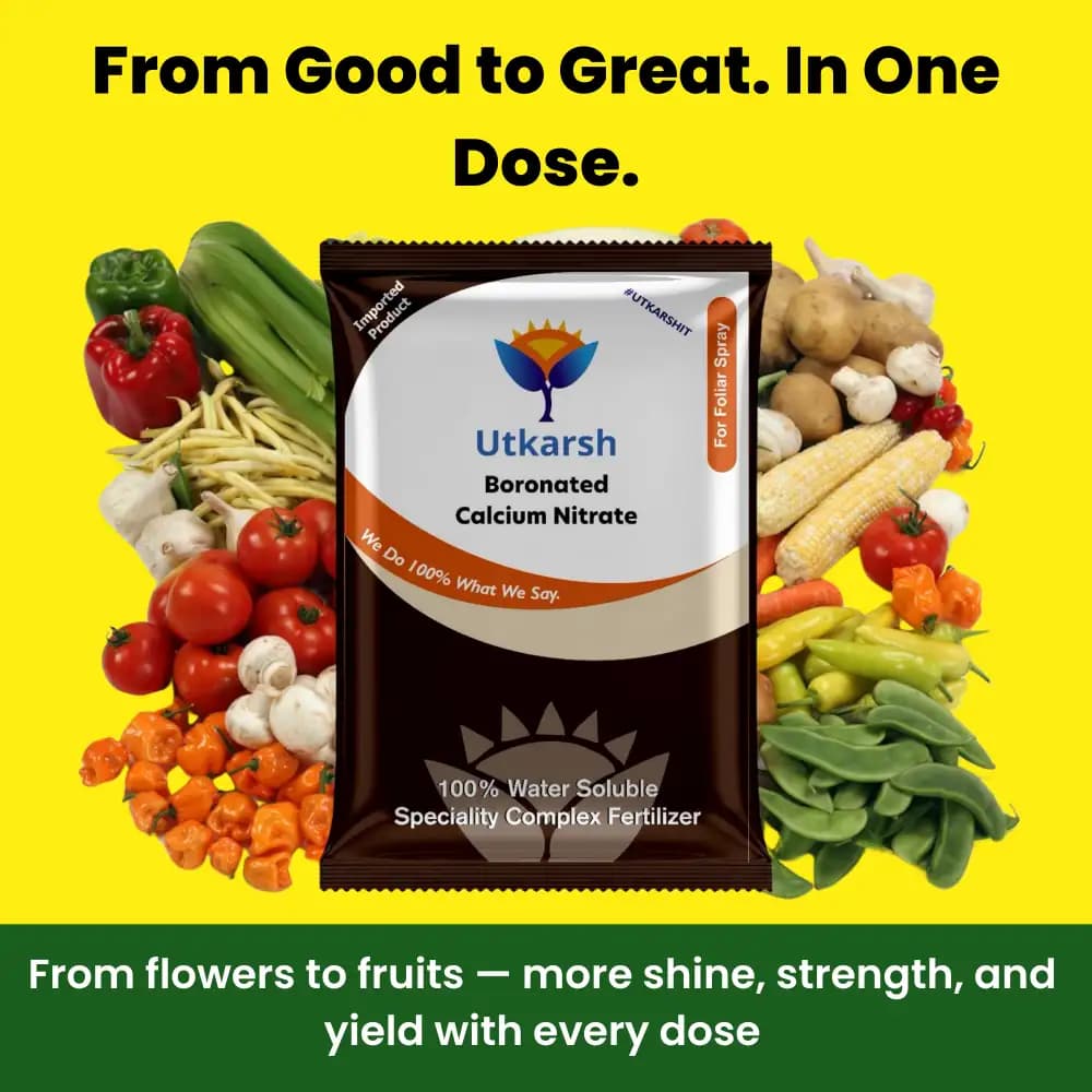 Utkarsh Boronated Calcium Nitrate Fertilizer - Image 2