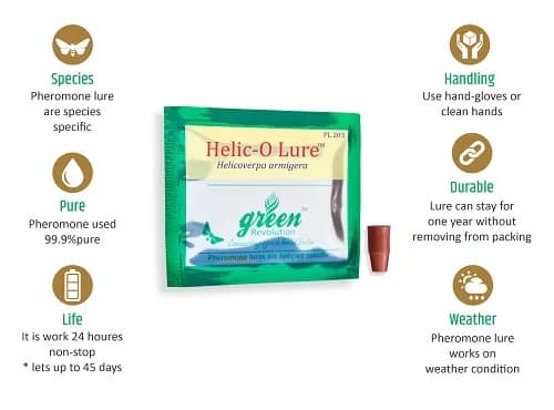 Funnel Trap And Helic O Lure (Helicoverpa Armigera Pheromone) For Brinjal, Gram, Red gram, Cow pea, Ground Nut, Soyabean and Tomato. - Image 3