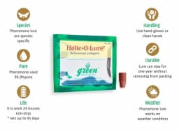 Funnel Trap And Helic O Lure (Helicoverpa Armigera Pheromone) For Brinjal, Gram, Red gram, Cow pea, Ground Nut, Soyabean and Tomato. 3