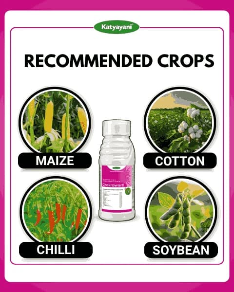 Katyayani Chakrawarti Thiamethoxam 12.6% + Lambda Cyhalothrin 9.5% Zc Insecticide - Image 4
