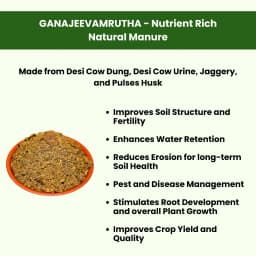 Pasuthai Ganajeevamrutha, Nutrient Rich Natural Soil Manure, Plant And Soil Growth Stimulator 3