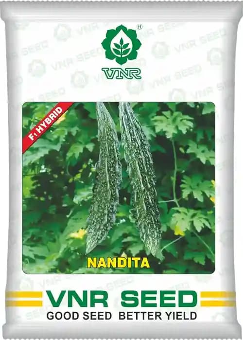 VNR Nandita Hybrid Bitter Gourd Seeds, Kerele ke Beej, Attractive Green Glossy Color, Spindle in shape - Image 1