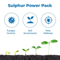 Sulphur Mills Fertis 90% WDG Sulphur Powder, Improves the Soil Health, Increase Oil Content In Oil Seed Crops 3