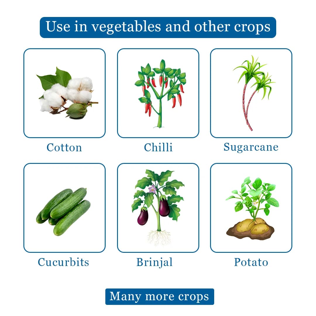 Finopride - Fipronil 40% + Imidacloprid 40% WG Unique Insecticide, Control White Grub and Sucking Pests - Image 4