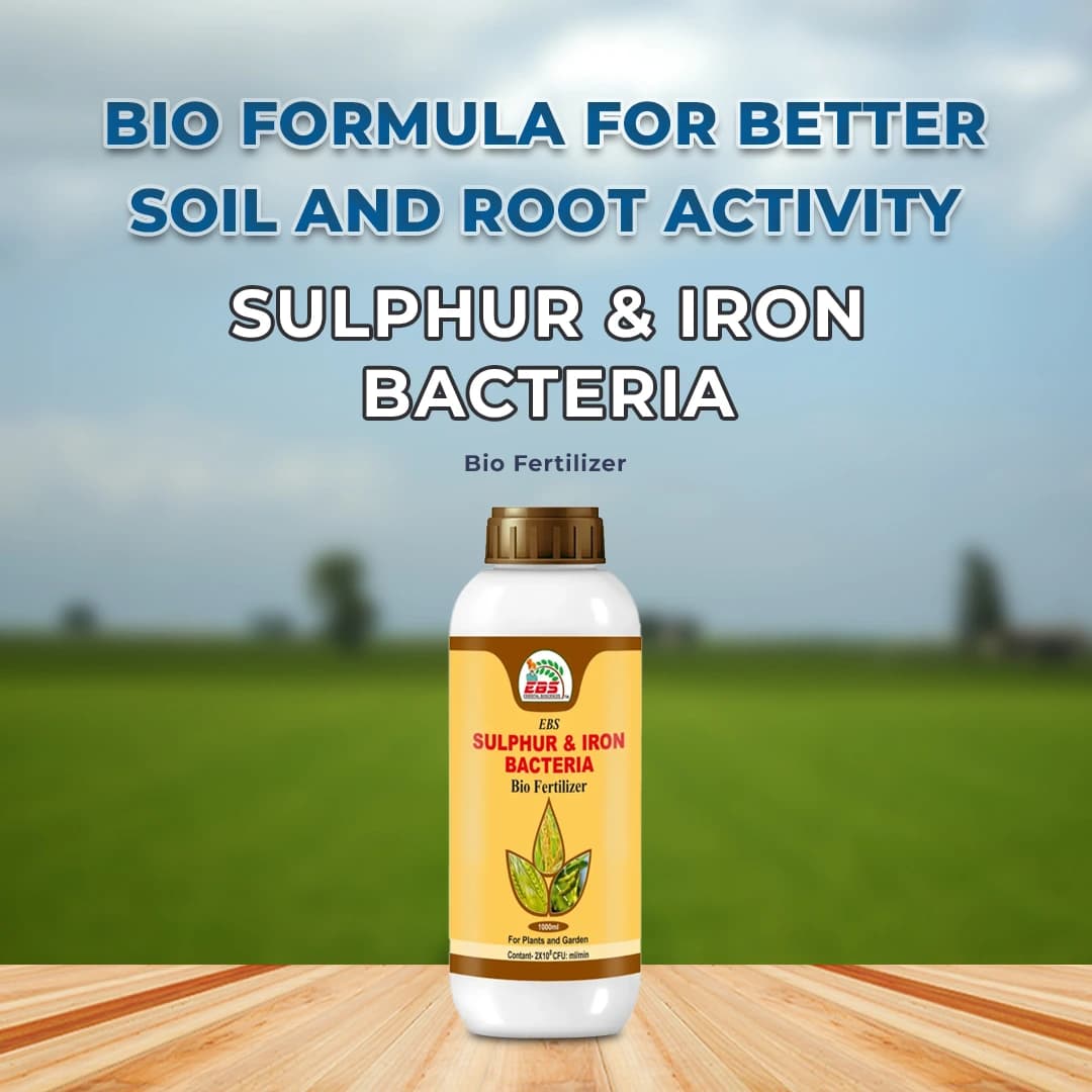 EBS Sulphur & Iron Bacteria Bio Fertilizer, Use for Plants, Crops, Nursery and Home Garden - Image 2