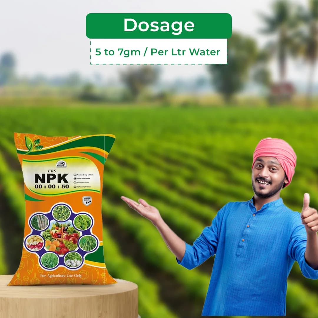 EBS NPK 00:00:50 - Potassium Sulphate Fertilizer - Image 5