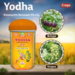 Multiplex Yodha Emamectin Benzoate 5% SG Insecticide, Powerful Larvicide And Effective Pest Control 2