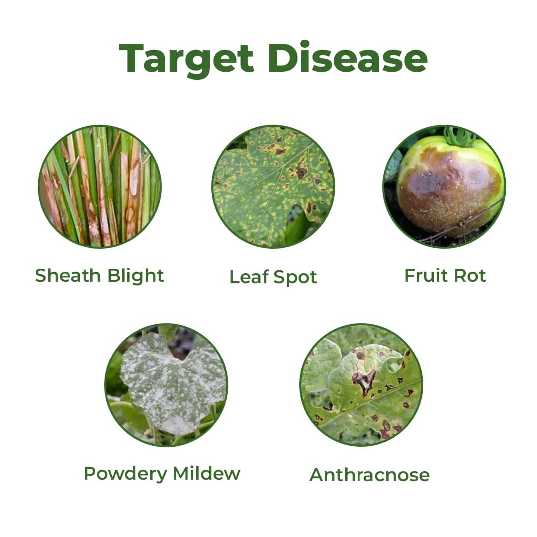 Agriventure Difen (Difenoconazole 25 % Ec) Fungicide, Best For Paddy, Chilli, Cumin And Onion - Image 3