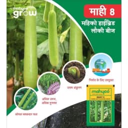 Mahyco Mahy 8 Hybrid Bottle Gourd Seeds, Cylindrical Shape, Green Stripes, High Yield Variety 2