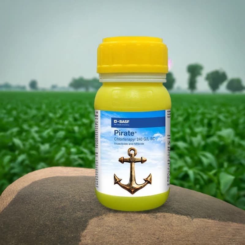 BASF Pirate Chlorfenapyr 240 GL SC Insecticide, Effective For Crops Protection - Image 4