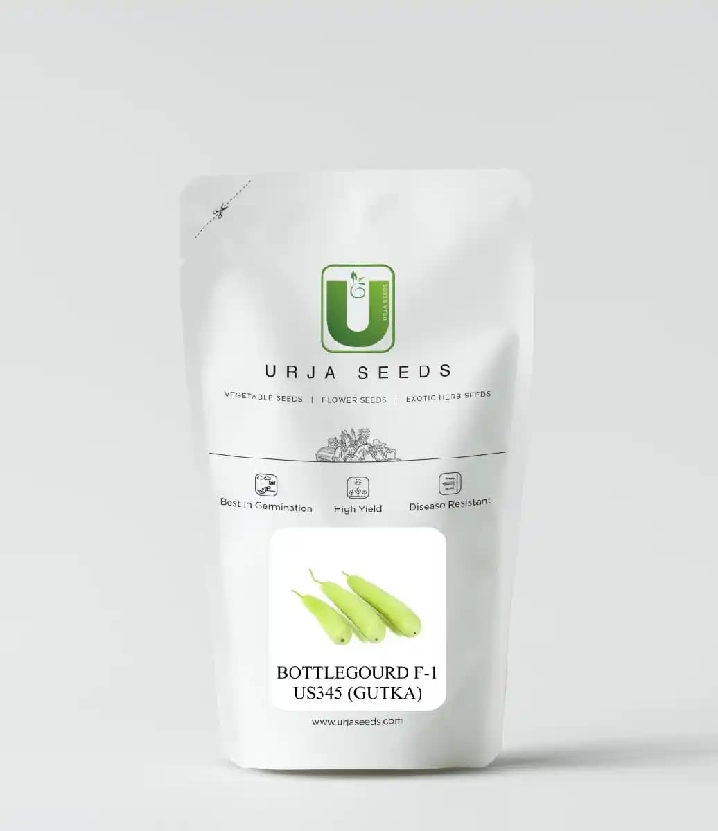 Urja Bottle Gourd Seeds F1 Hybrid US - 345 (Gutka Type), Light Green Colored, Medium Maturity - Image 2