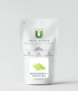 Urja Bottle Gourd Seeds F1 Hybrid US - 345 (Gutka Type), Light Green Colored, Medium Maturity 2