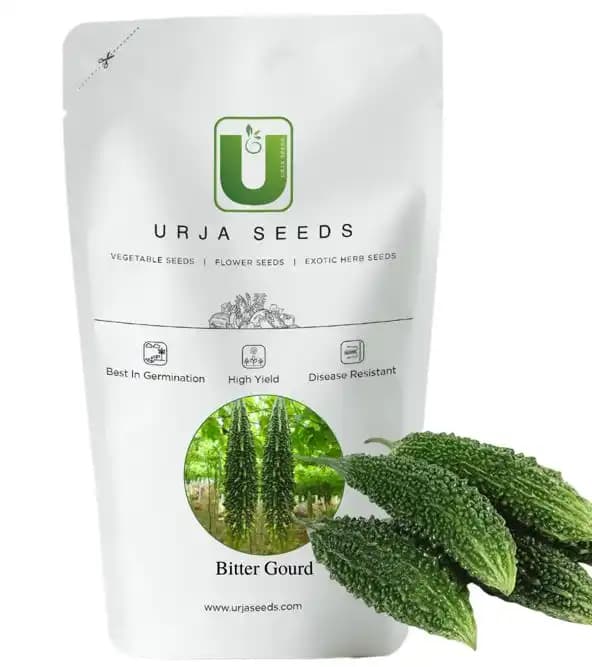 Urja US-444 (Jhalri) Bitter Gourd Seeds, Deep Green Smooth Ridged Fruits, Best In Germination - Image 1
