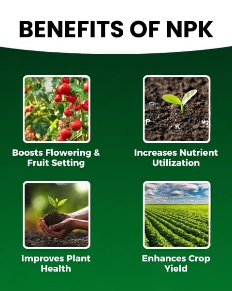 Katyayani NPK 00:52:34 (Mono Potassium Phosphate) Water Soluble Fertilizer For Promoting Flowering and Root Development In All Types of Crops - Image 2