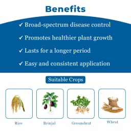 Crystal Bavistin Carbendazim 50% WP Systemic Fungicide Crop Protection Best Use. 4