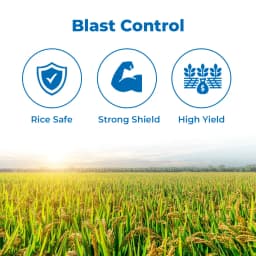 Tata Rallis FUJIONE Isoprothiolane 40% EC Systemic Fungicide With Protective and Curative Action 3