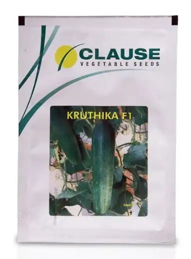 Clause Kruthika Cucumber (Kheera) Seeds