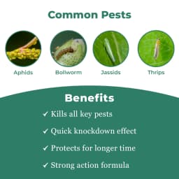 प्रोपेन - प्रोफेनोफोस 50% ईसी कीटनाशक, ऑर्गनोफॉस्फेट समूह, गैर-प्रणालीगत कीटनाशक, ओविसाइडल गुण, लाल मकड़ी के कण, थ्रिप्स के विरुद्ध उपयोगी। 3