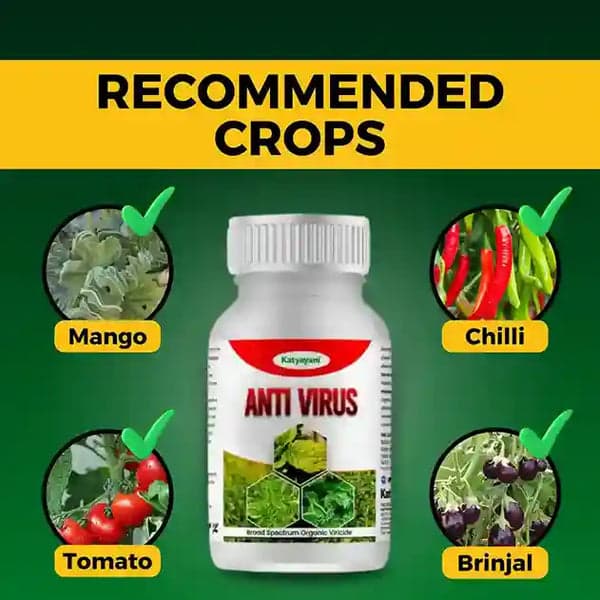 Katyayani Anti Virus Broad Spectrum Organic Virucide For All Viral Plant Diseases - Image 4