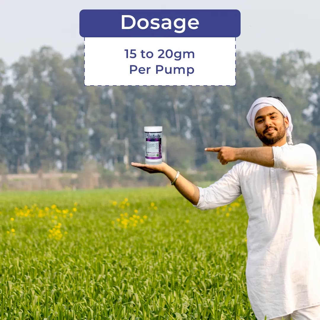 थायोरिन - थियामेथोक्सम 25% WG कीटनाशक, चावल, कपास, टमाटर, बैंगन, आलू के लिए उपयोगी, भूरा फुदका कीट, हरी पत्ती, थ्रिप्स के विरुद्ध सबसे अच्छा उपयोग। - Image 5