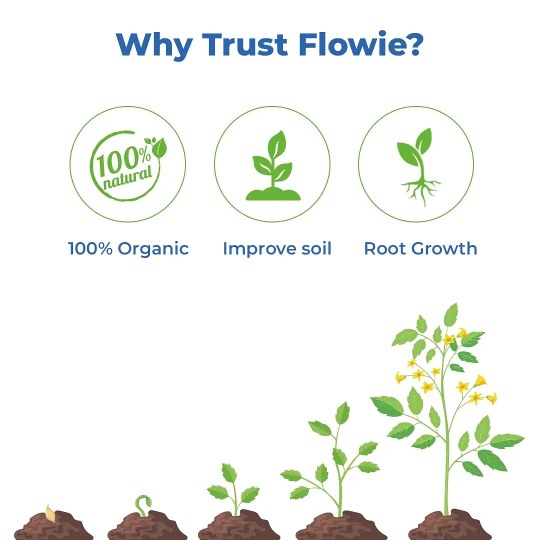 Flowie - Nitrobenzene 35% Flowering Stimulant and Organic Fertilizer to Enhance Root Growth, Water Holding Capacity, and Reduce Soil Erosion - Image 3